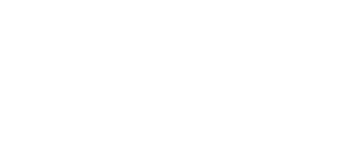 Champion Performance Systems Logo