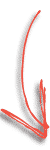 arrow-down-left arrow-down-left
