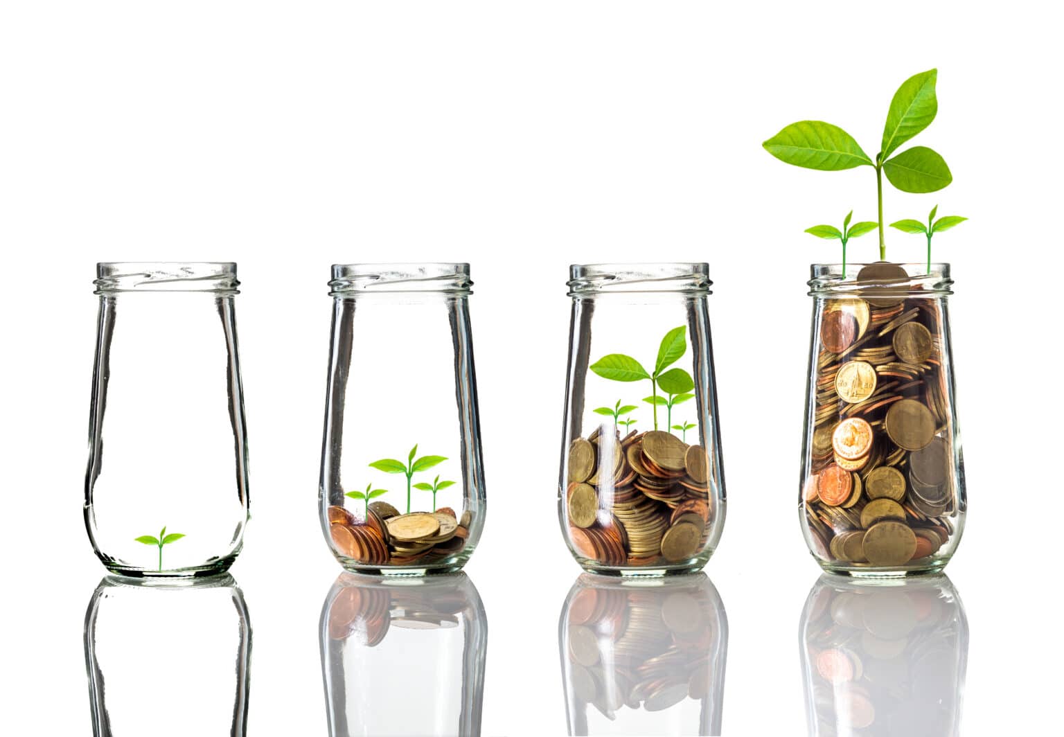 Gold coins and seed in clear bottle on white background, grow your business concept