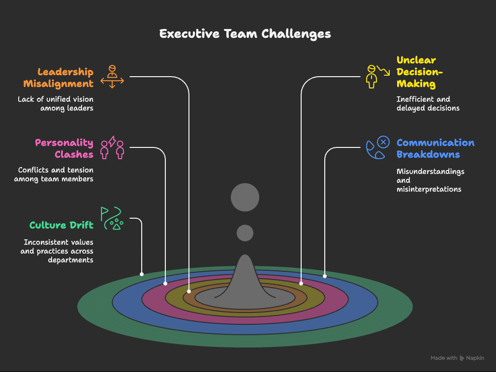 executive team coaching