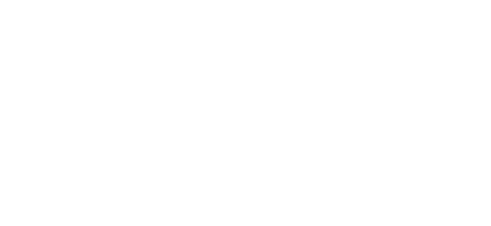 Champion PSI